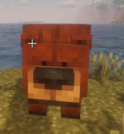 Something from my gallery