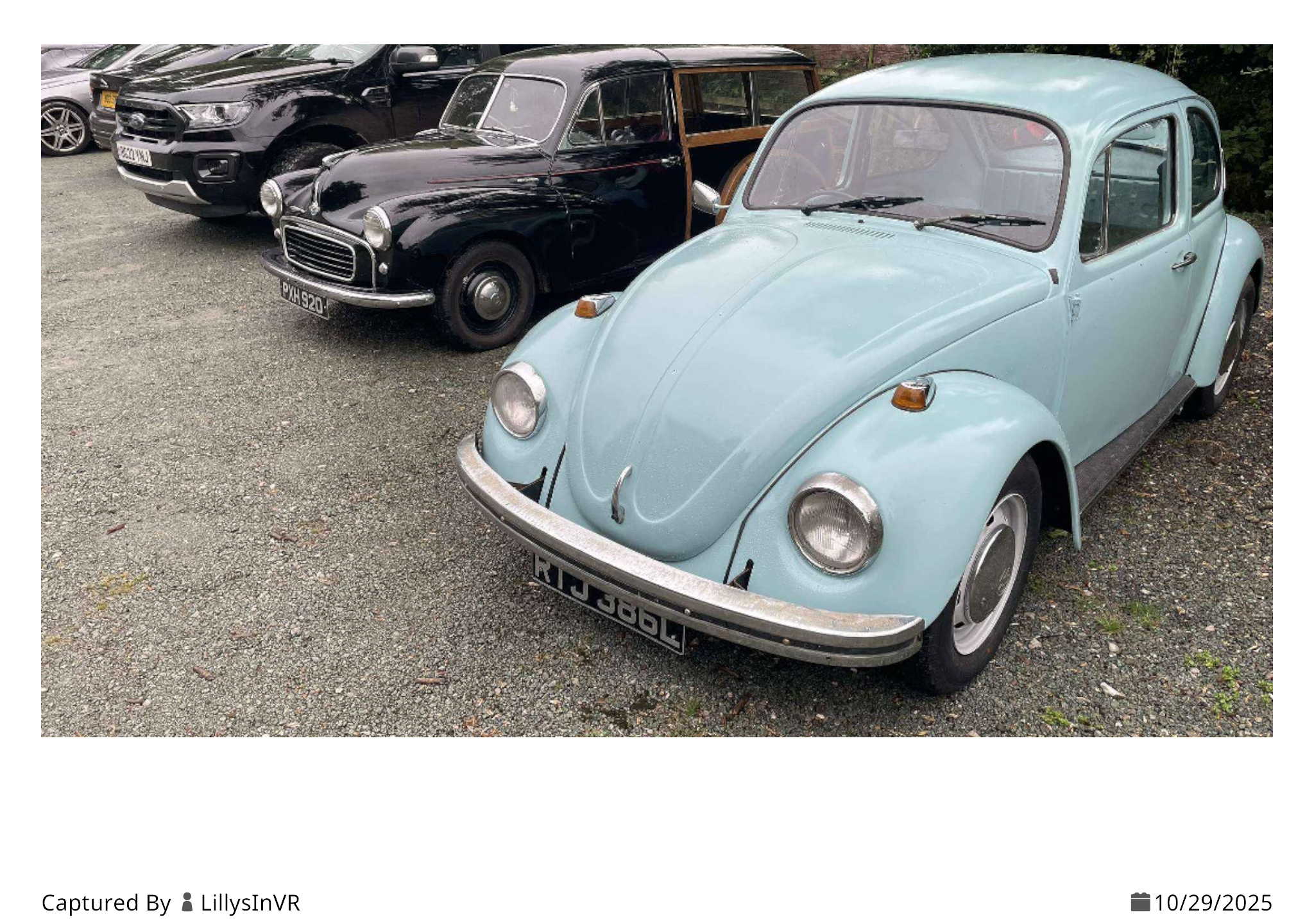 Something from my gallery