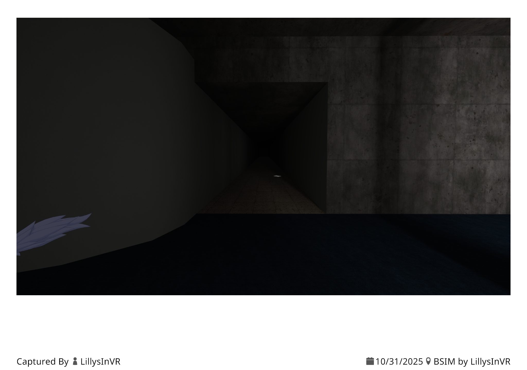 Something from my gallery