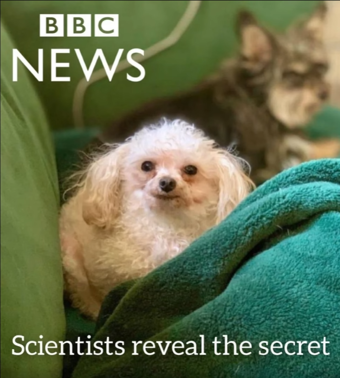 Something from my gallery