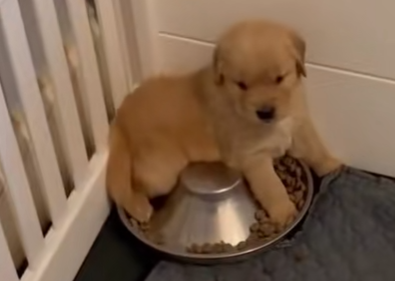 Something from my gallery