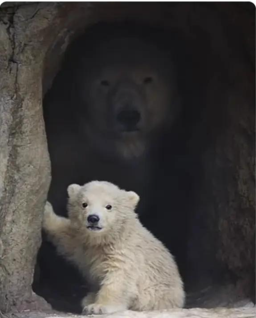 Something from my gallery