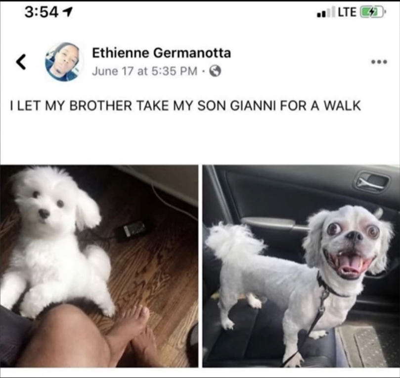 Something from my gallery
