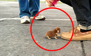 Something from my gallery