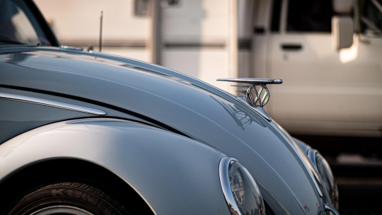 Something from my gallery