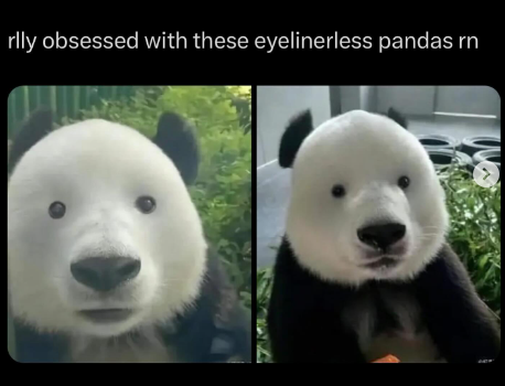 Something from my gallery