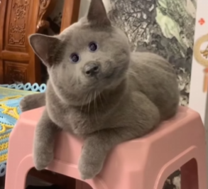 Something from my gallery