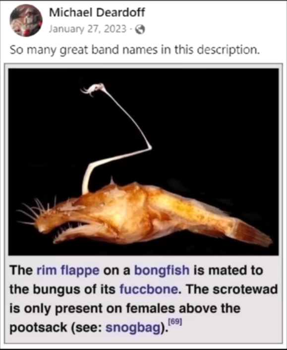 Something from my gallery