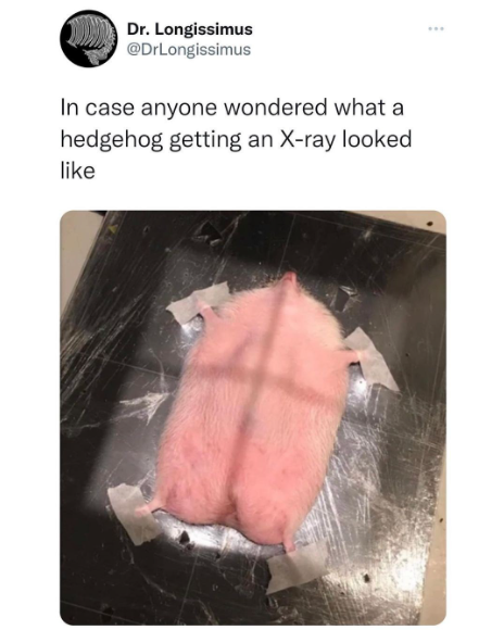 Something from my gallery