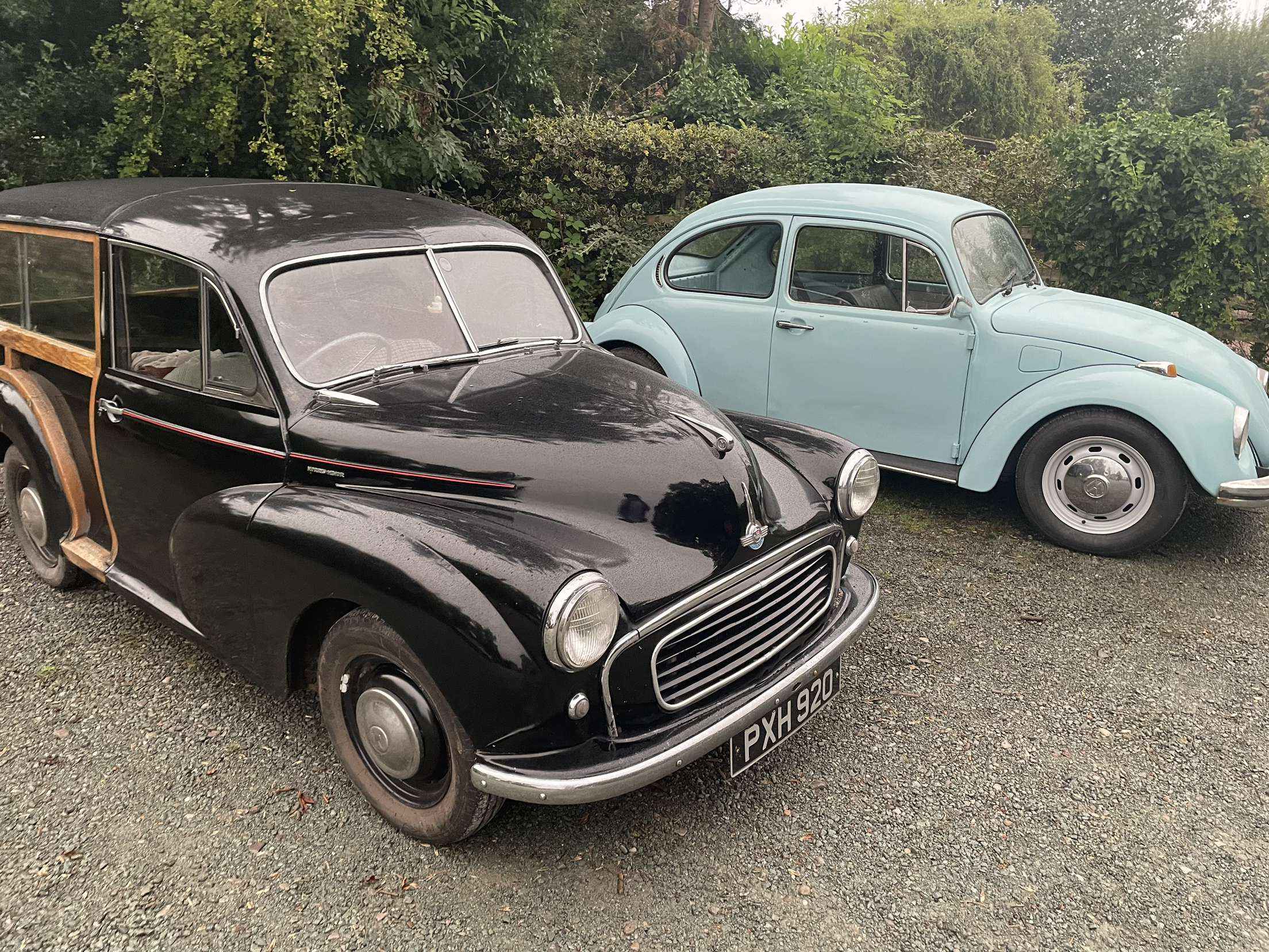 Something from my gallery