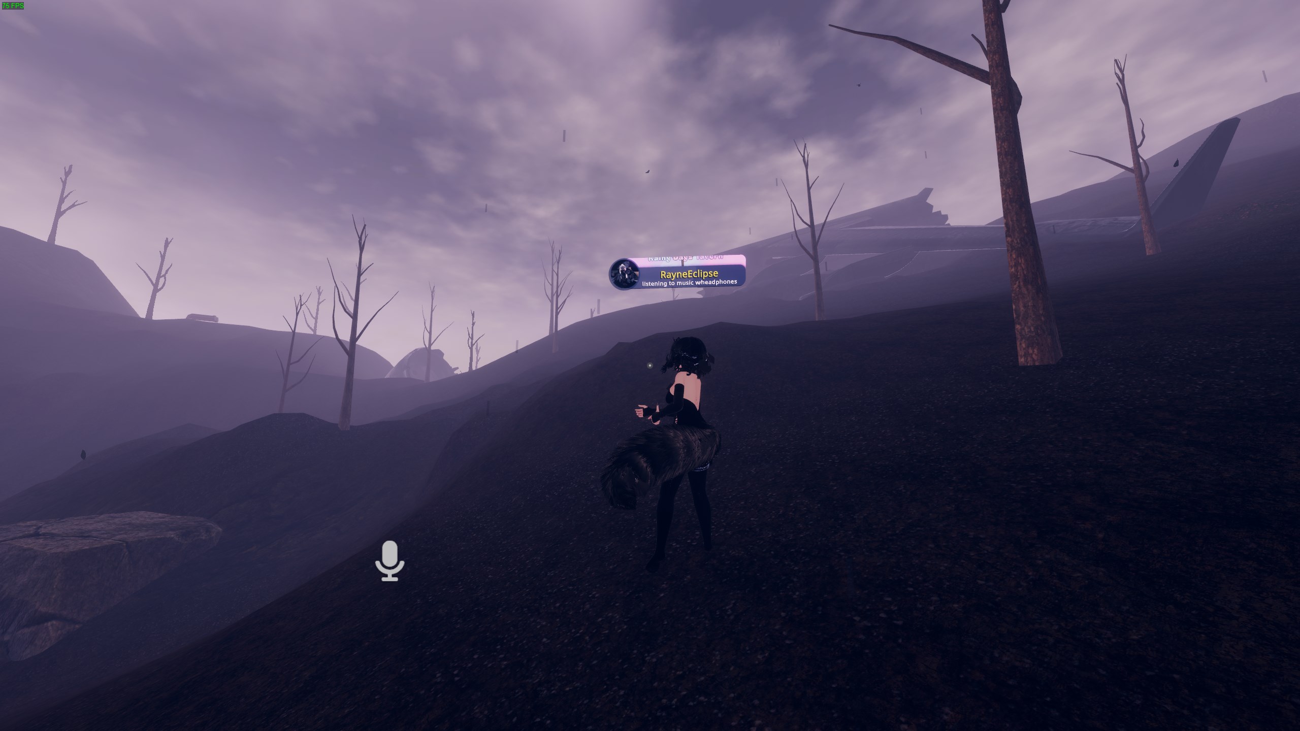 Something from my gallery