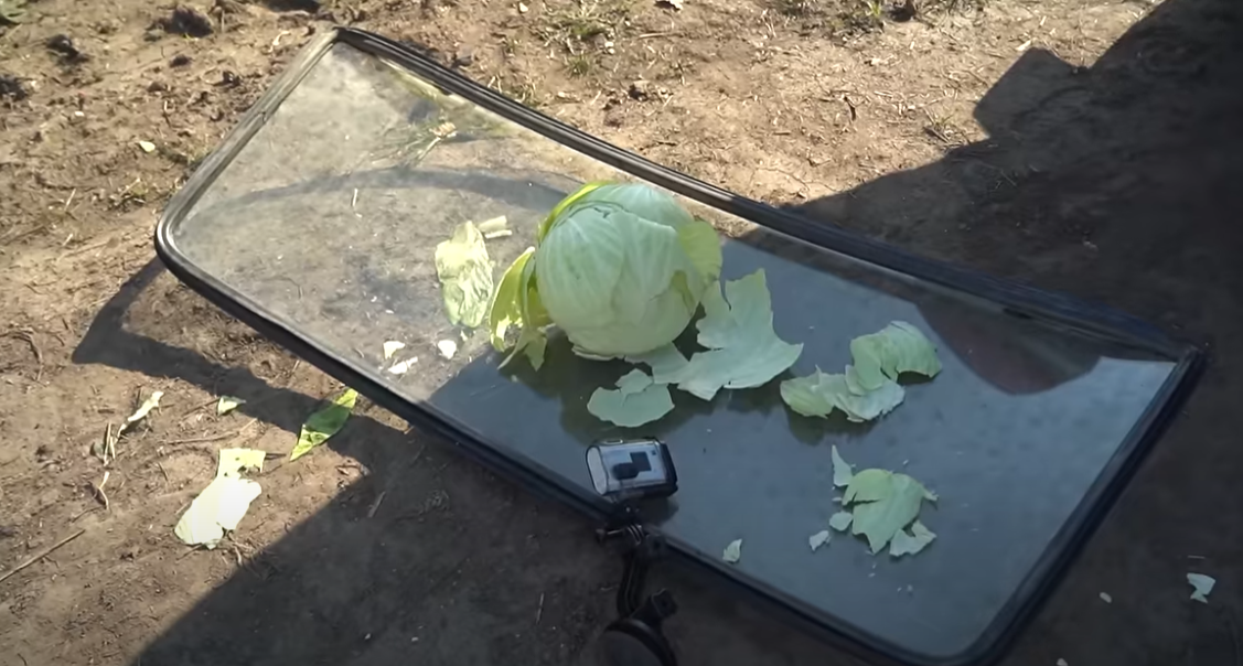 Something from my gallery