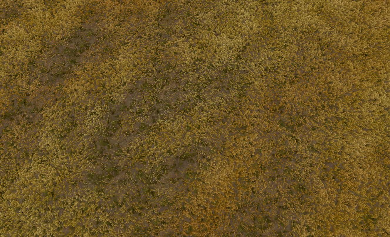 Something from my gallery