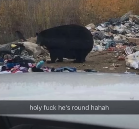 Something from my gallery