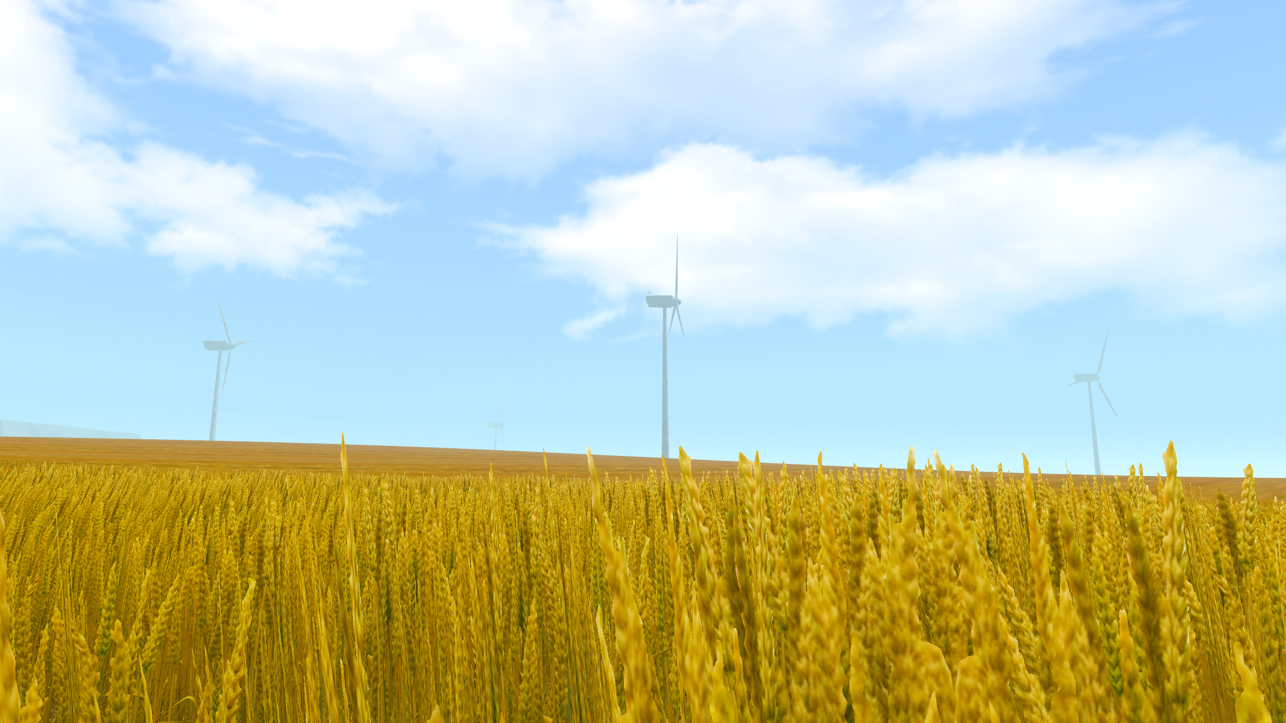 Something from my gallery