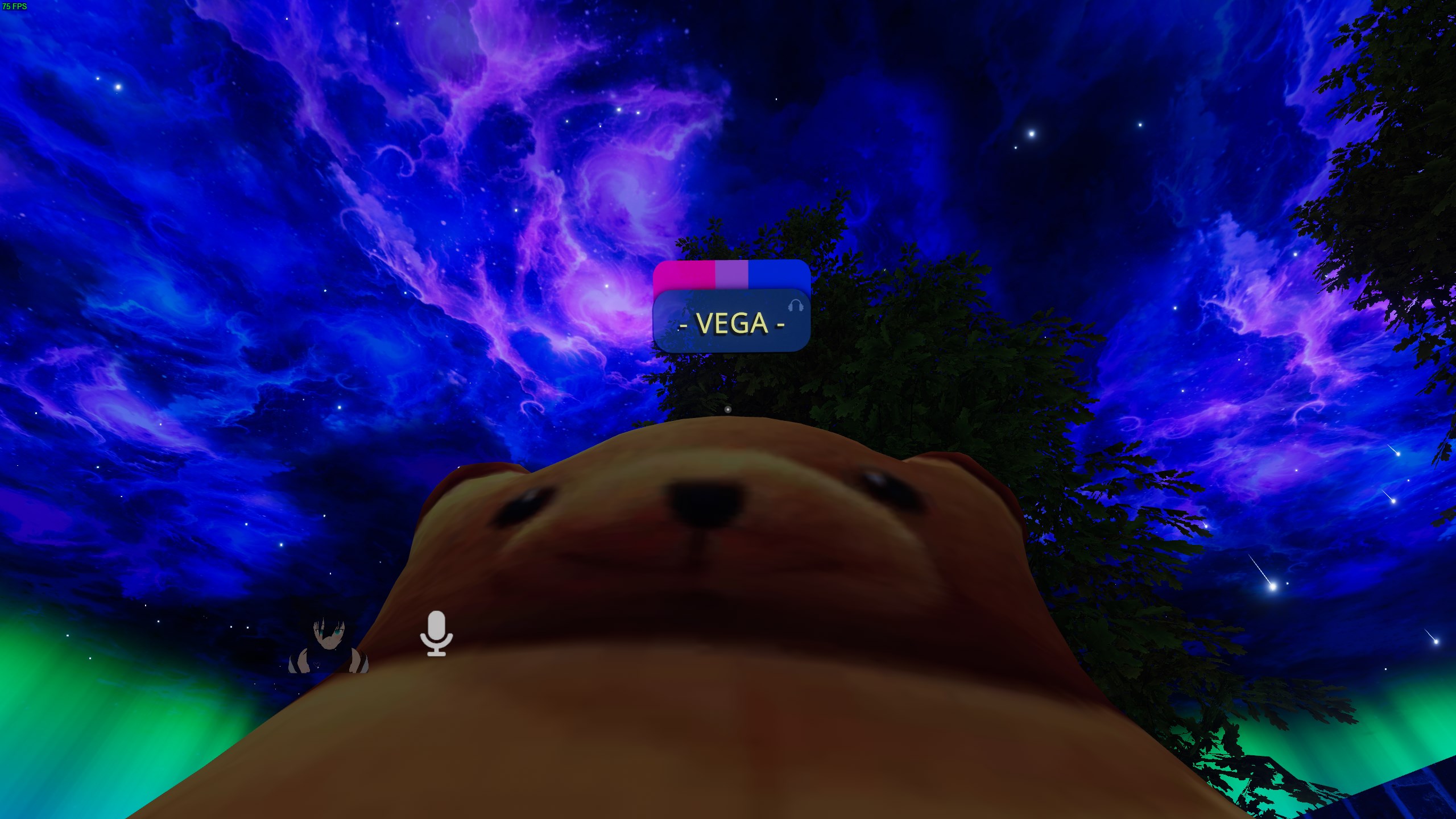 Something from my gallery