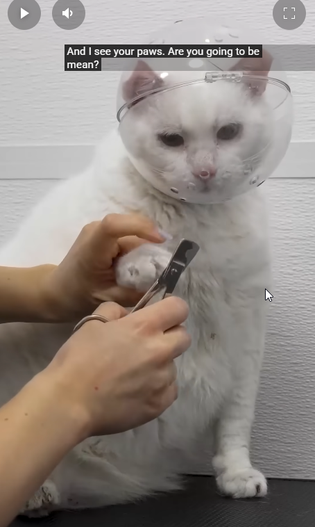 Something from my gallery