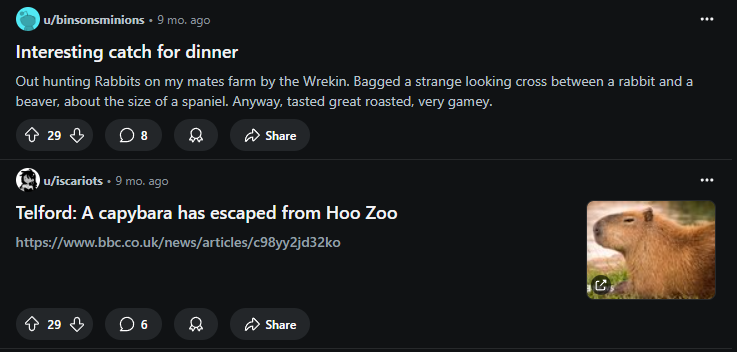 Something from my gallery