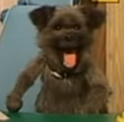 Something from my gallery