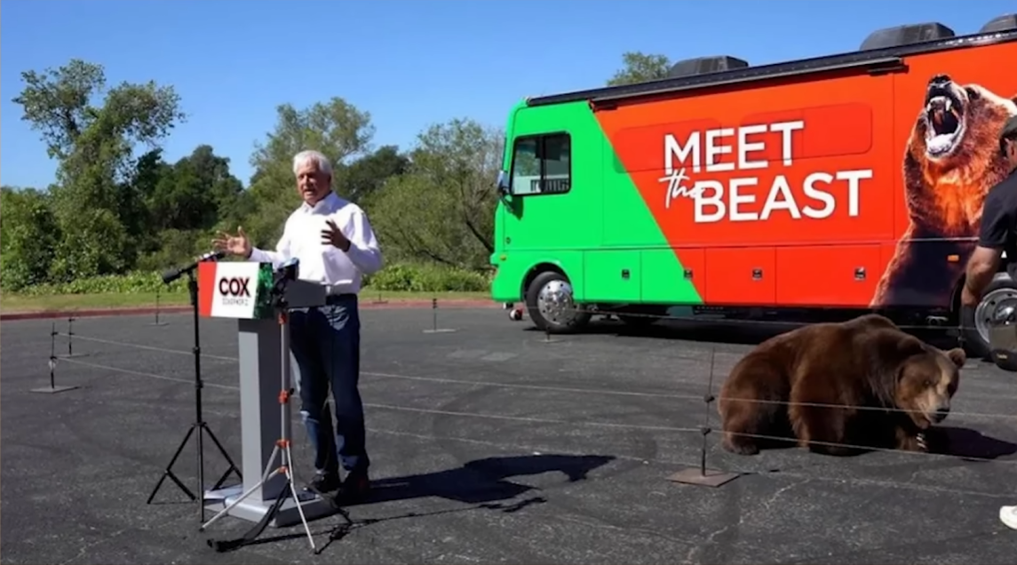 Something from my gallery